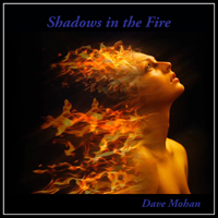 Shadows in the Fire Shadows in the Fire